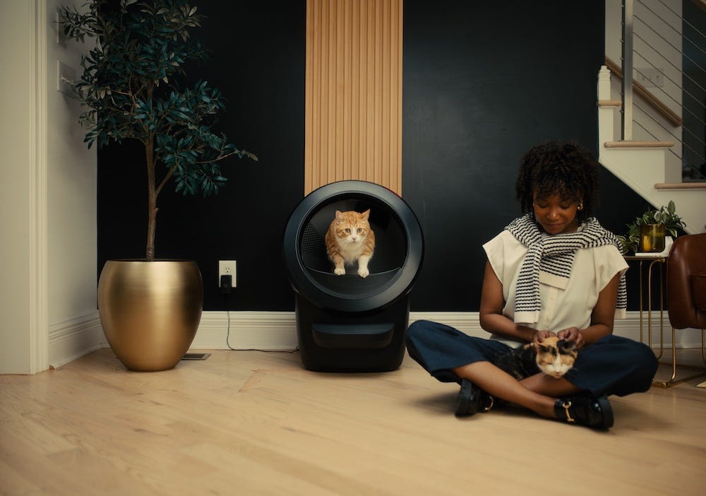 cat using Litter-Robot while woman sits with another cat