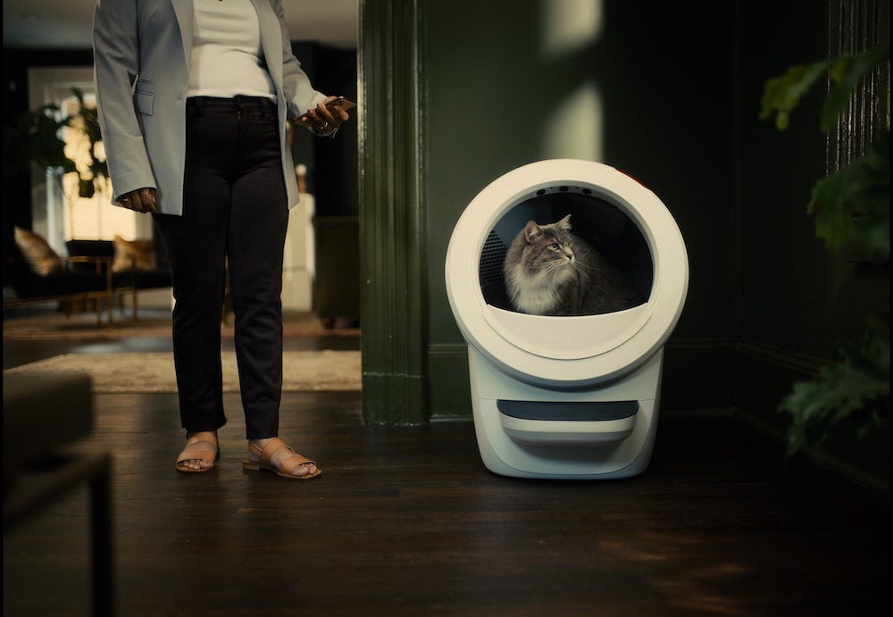 long-haired cat using Litter-Robot 4 while human stands by with phone