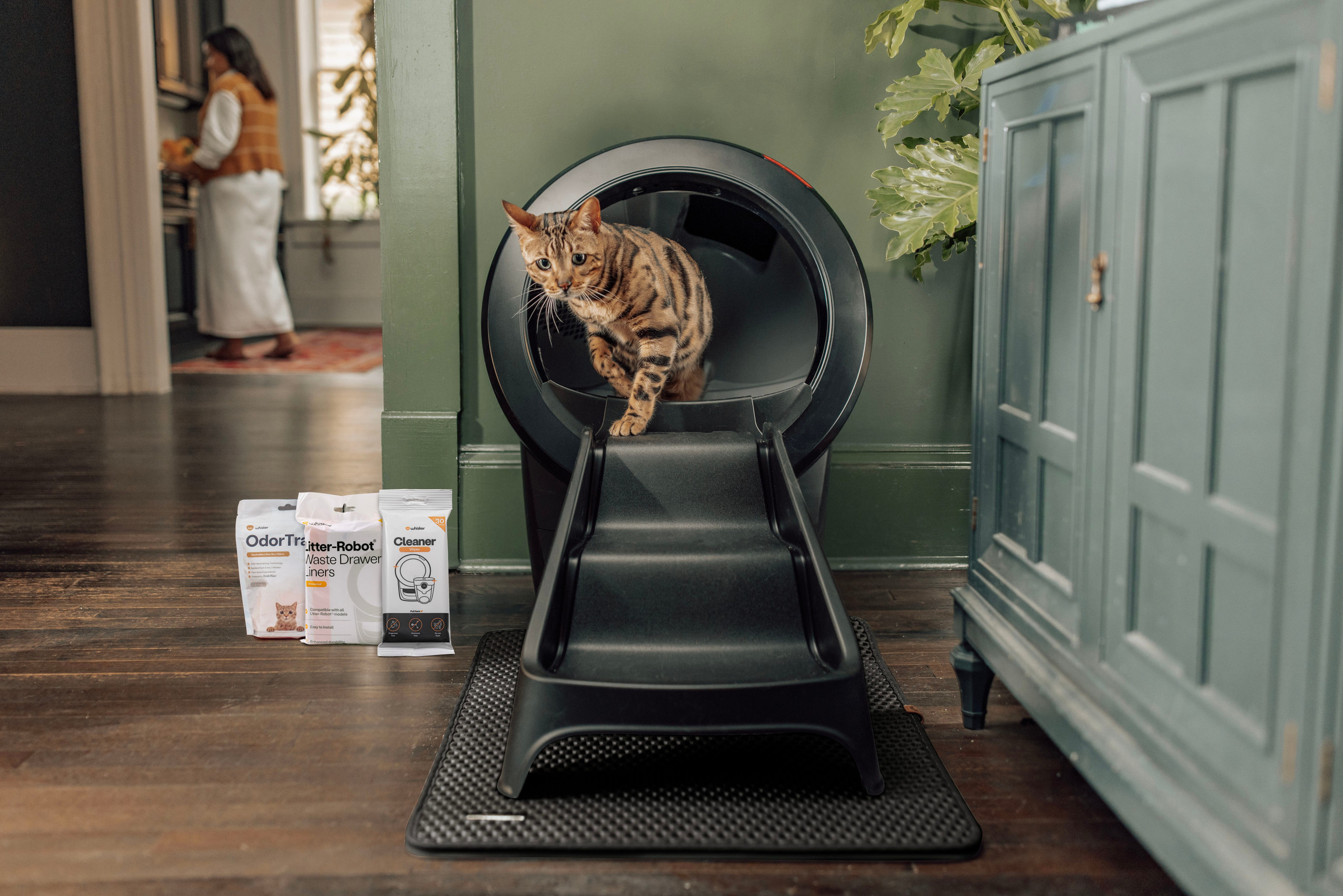 Bengal exotic cat breed in black Litter-Robot 4 with ramp