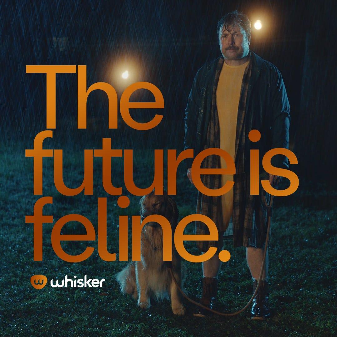 man standing in rain with dog - the future is feline
