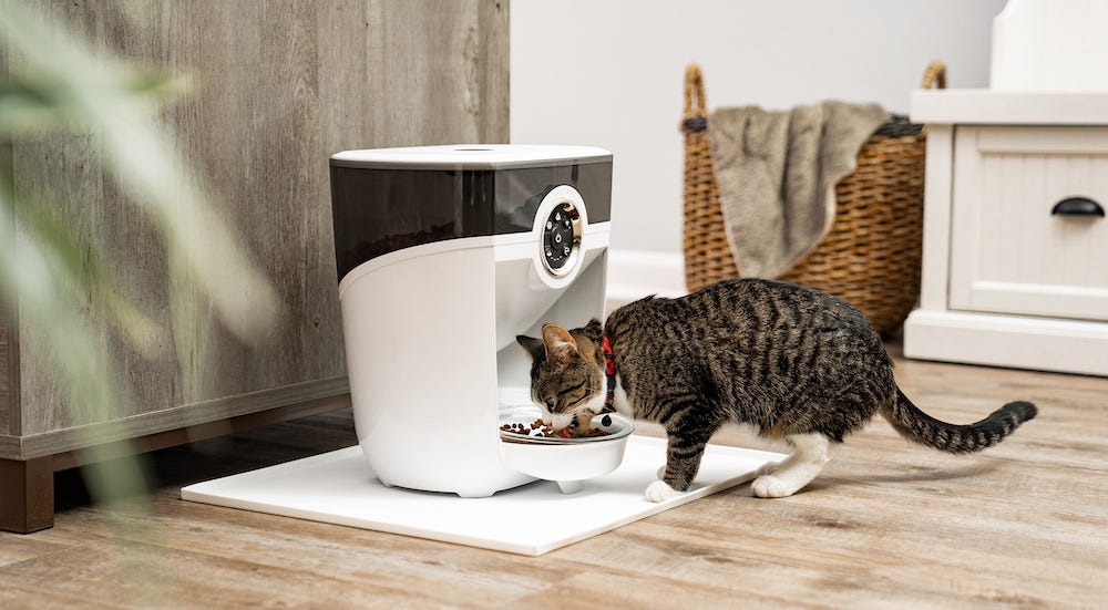 cat eating from Feeder-Robot automatic cat food dispenser