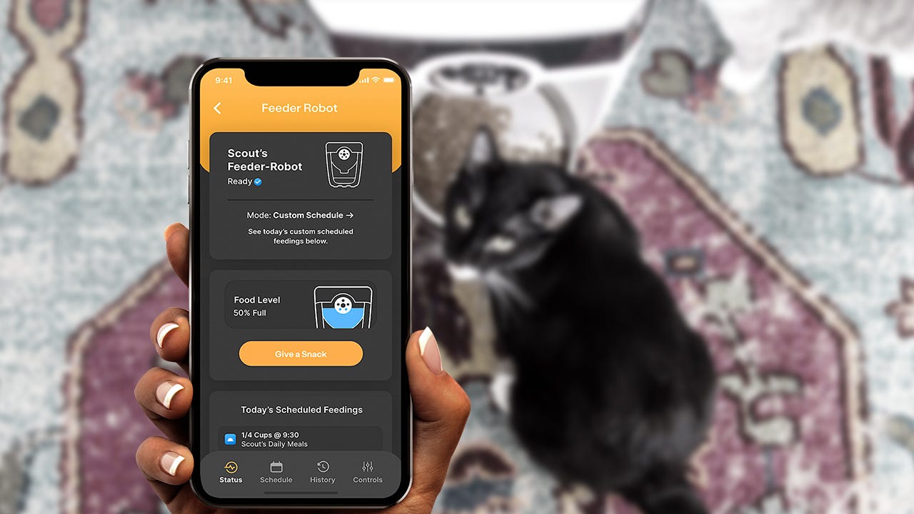 Whisker app showing Feeder-Robot stats with cat in background