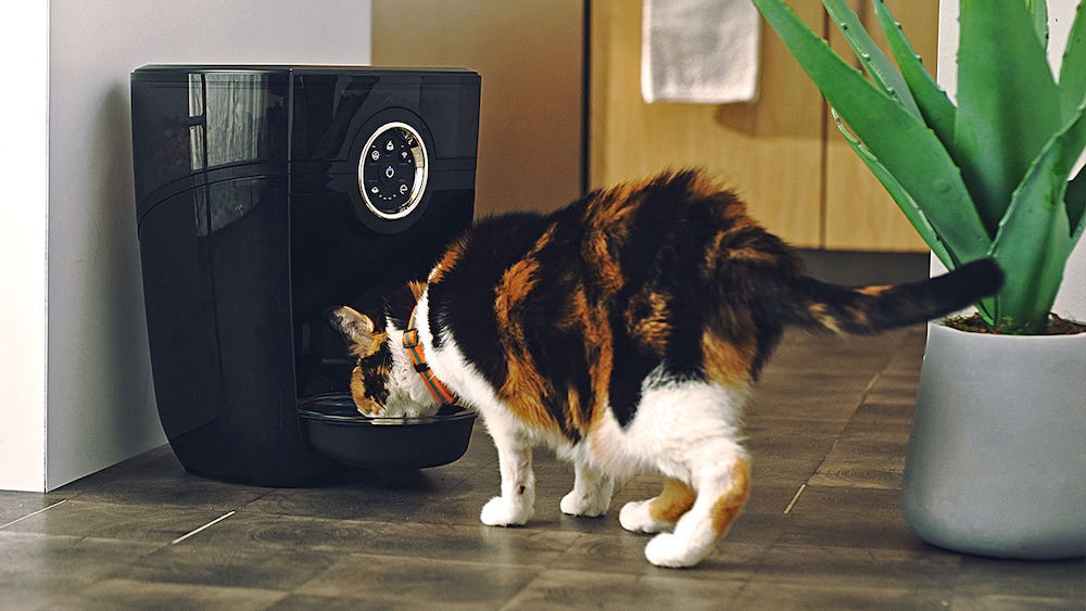 calico cat eating from Feeder-Robot