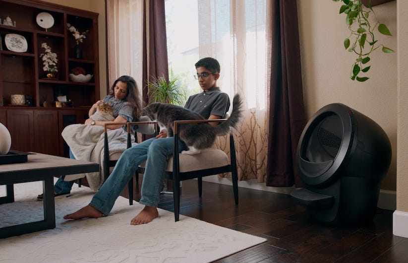 family with multiple cats and Litter-Robot