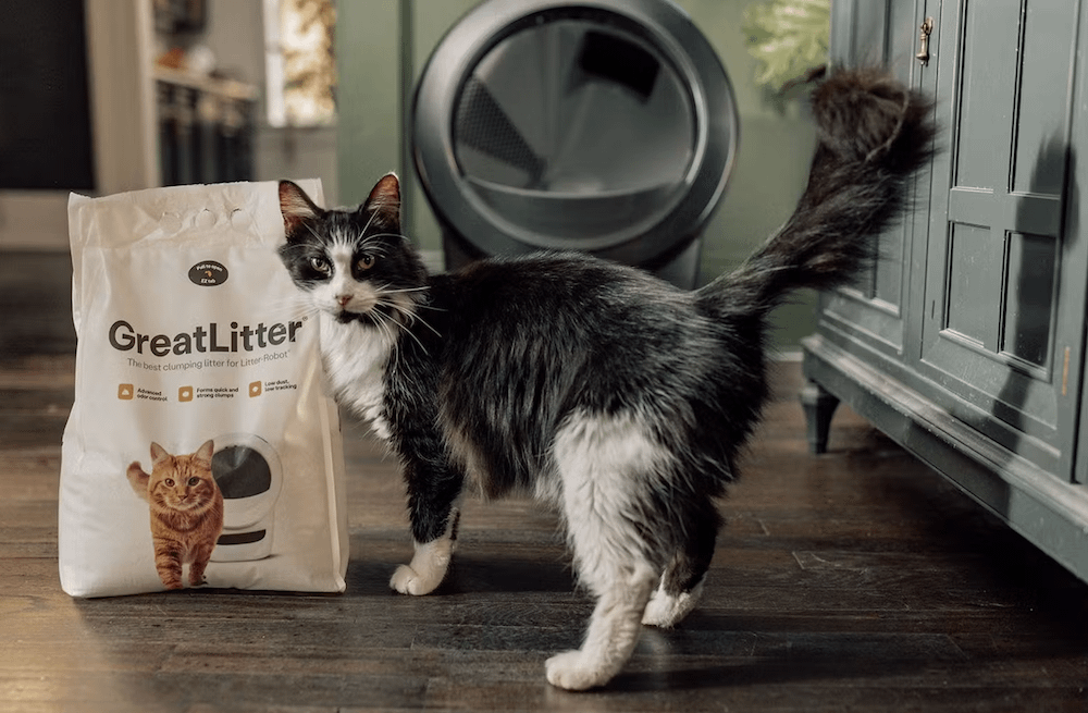 tuxedo cat with GreatLitter and Litter-Robot 4