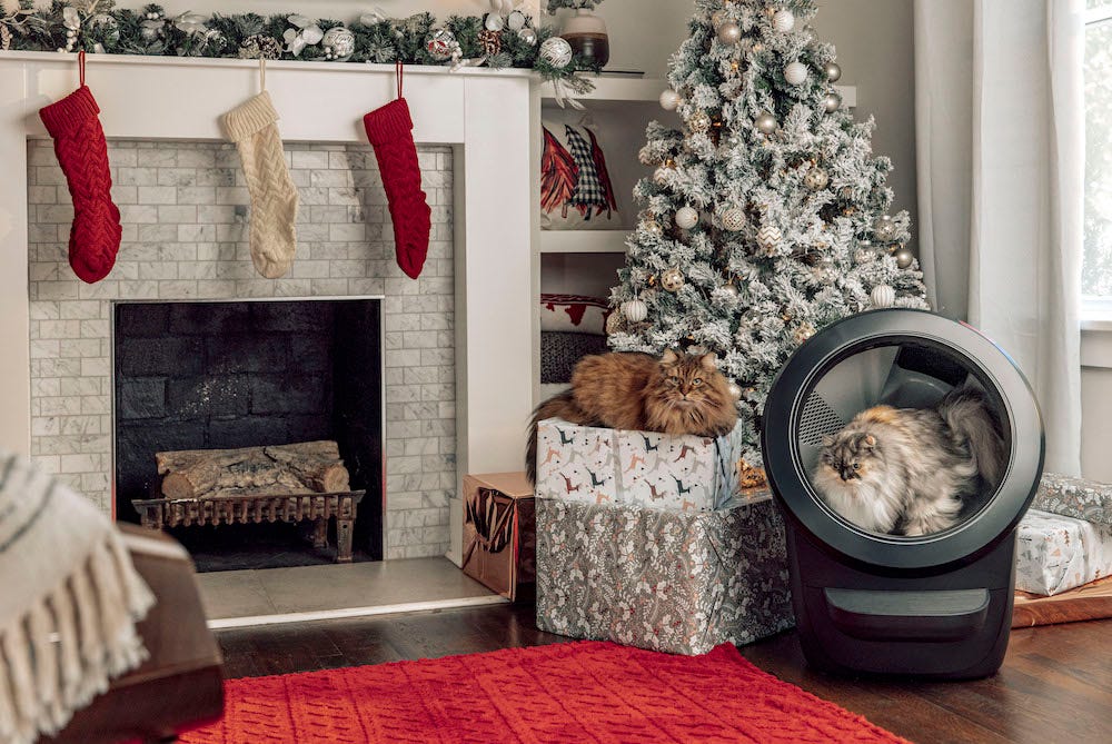 cat using a Litter-Robot 4 automatic litter box next to Christmas tree and stockings