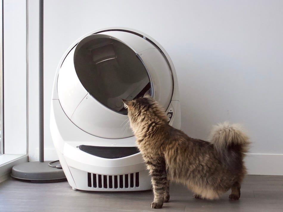 How To Choose a Litter-Robot Wait Time Setting