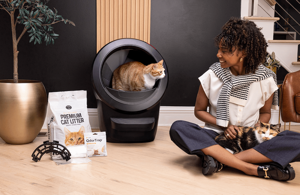 The Best Cat Litter for Multiple Cat Households