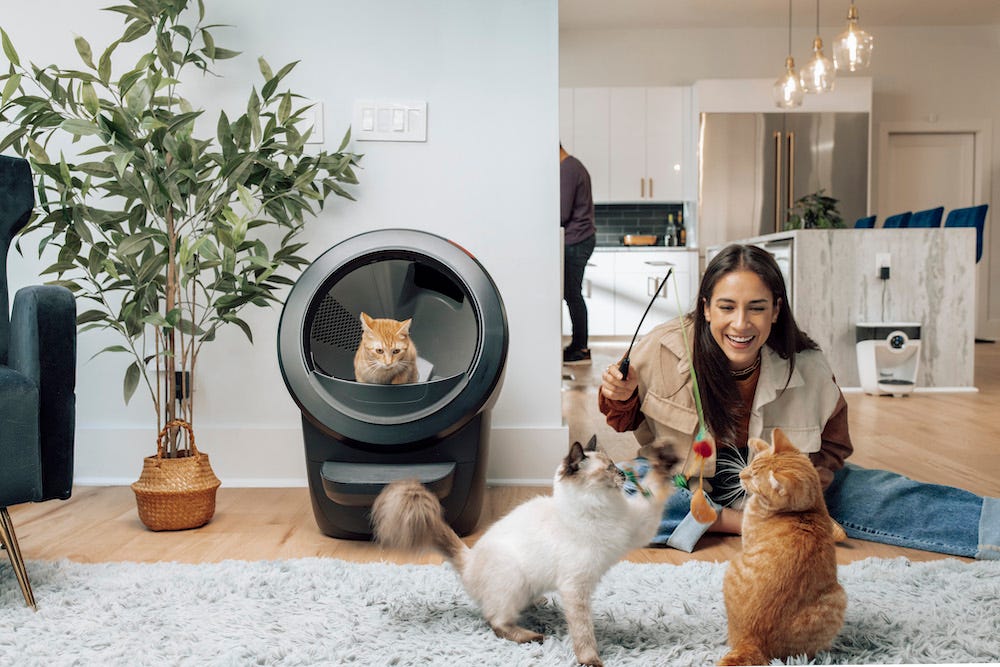cat using Litter-Robot 4 while woman plays with two other cats