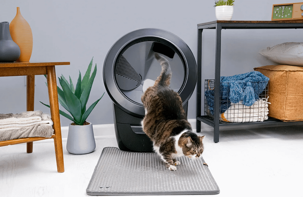 tabby cat exiting Litter-Robot 4 onto LitterTrap Mat