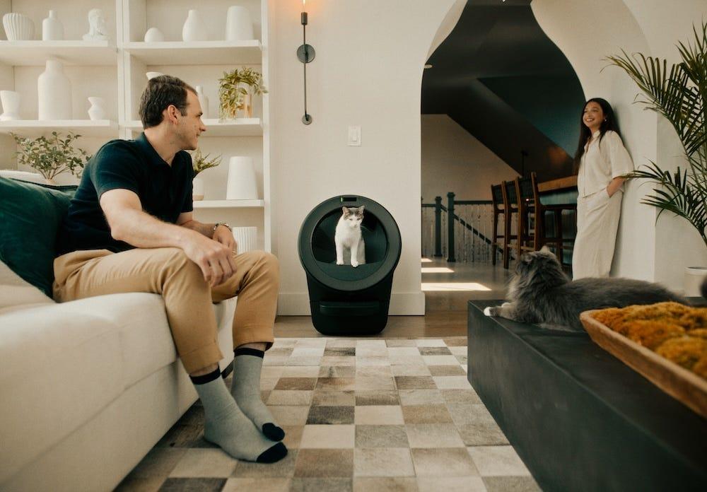 newlyweds with cats using self-cleaning litter box Litter-Robot 5
