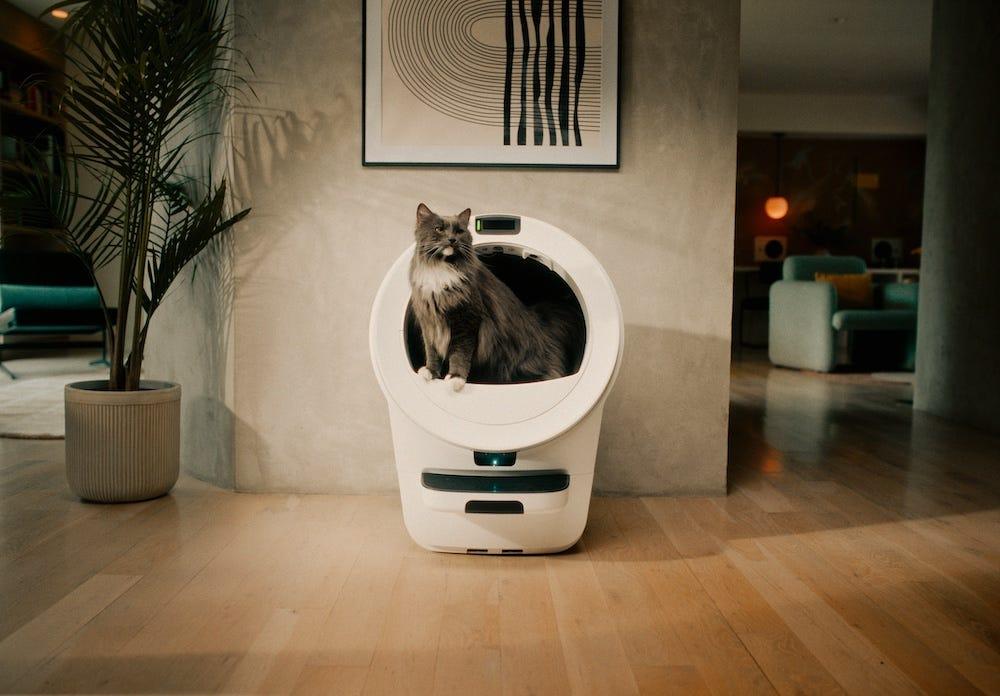 long-haired grey cat using Litter-Robot 5 Pro