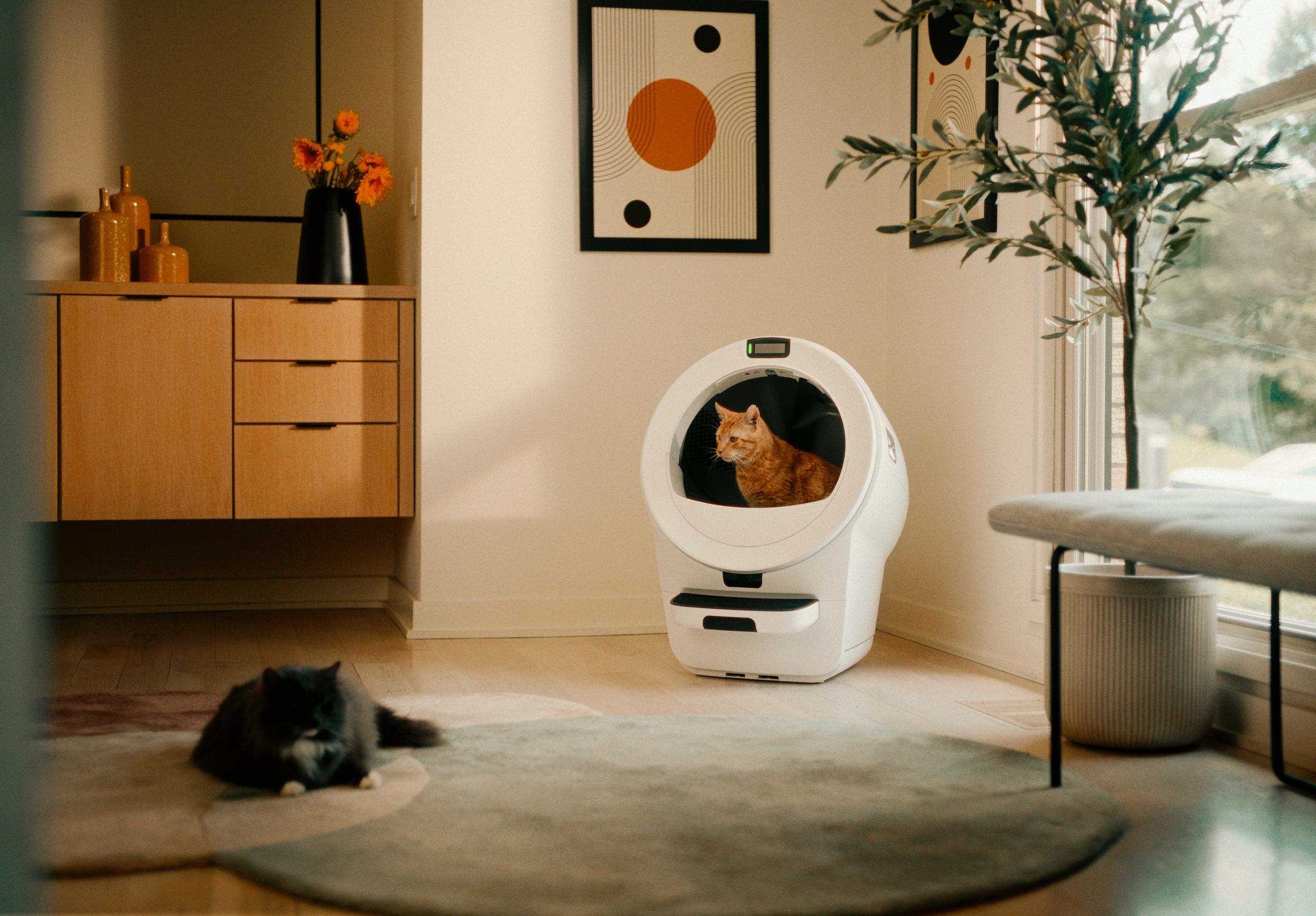 cat using litter-robot 5 pro self-cleaning litter box with cat in front of camera identification