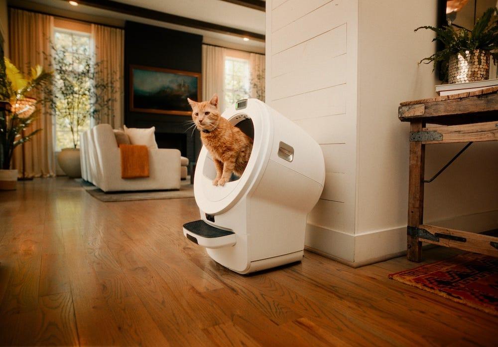 orange tabby cat using Litter-Robot 5 Pro