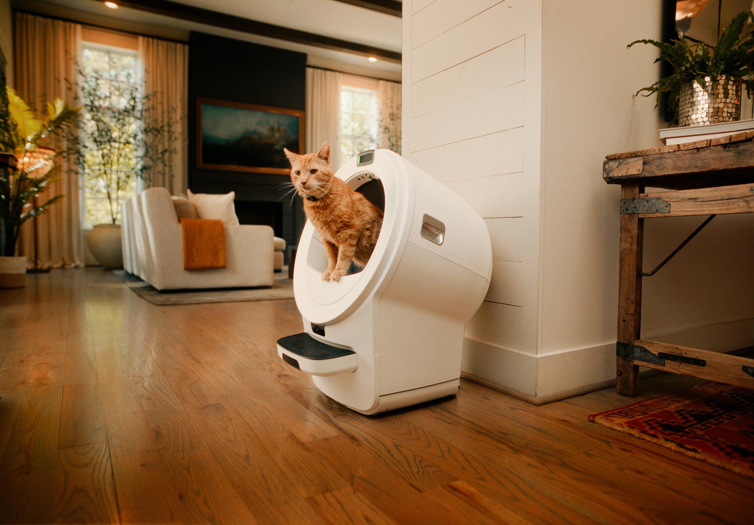 cat using litter-robot 5 pro self-cleaning litter box with camera identification
