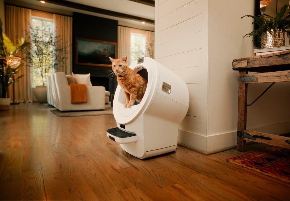 orange tabby cat using self-cleaning litter box Litter-Robot 5 Pro