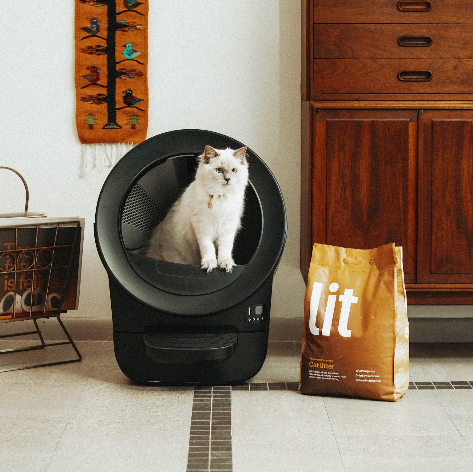 [Alt text: Lit in a Litter-Robot]