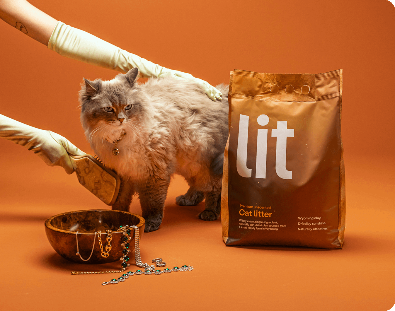 gloved hands brushing Siberian cat next to bag of Lit cat litter