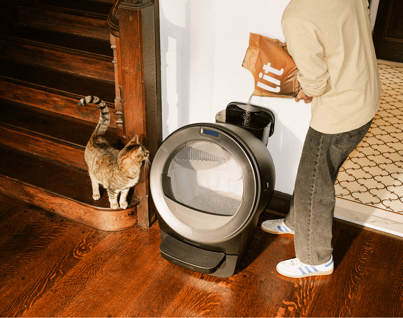 person pouring Lit cat litter into Litter-Robot LitterHopper while tabby cat watches
