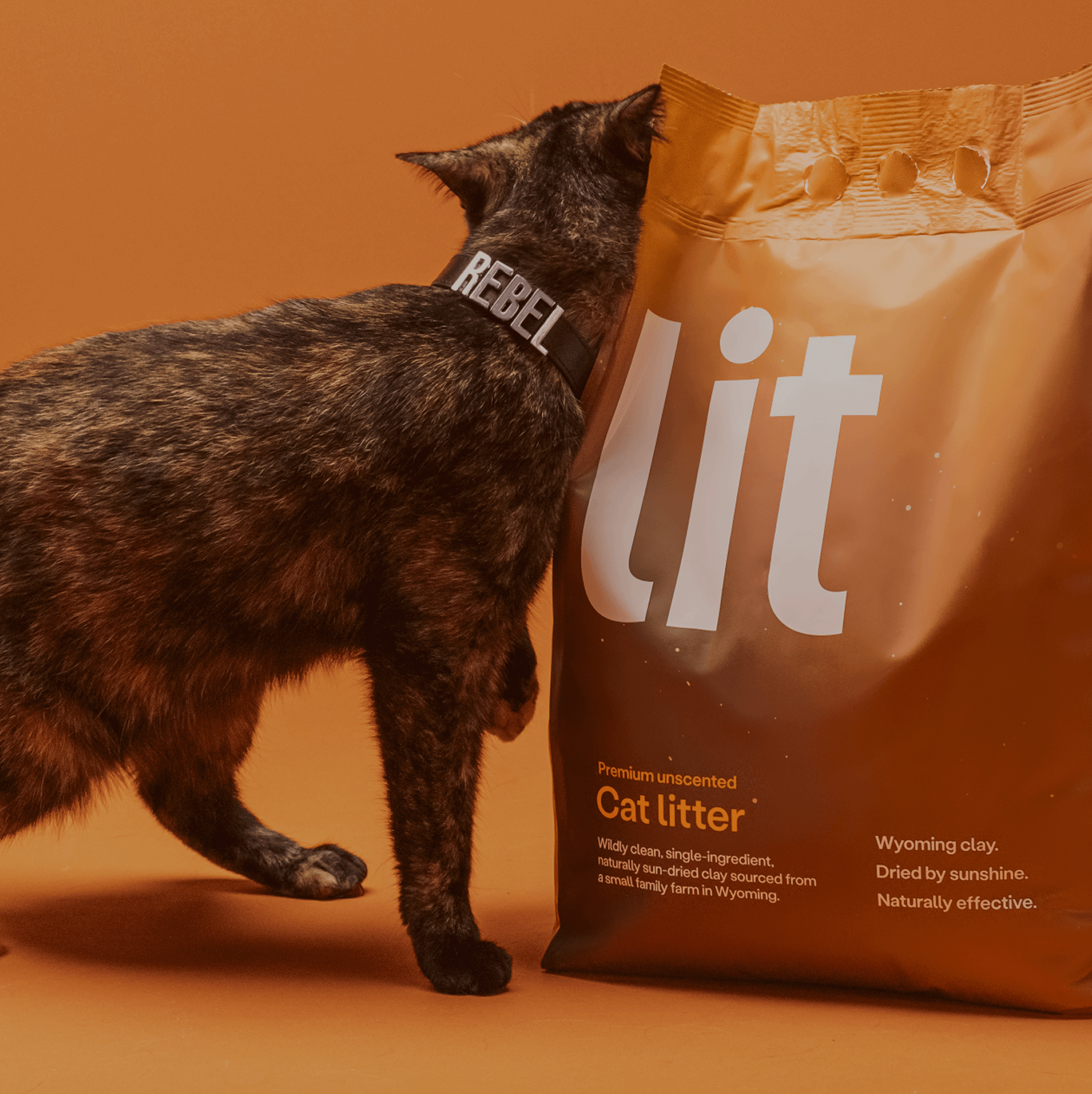 tortie cat rubbing again bag of cat litter Lit