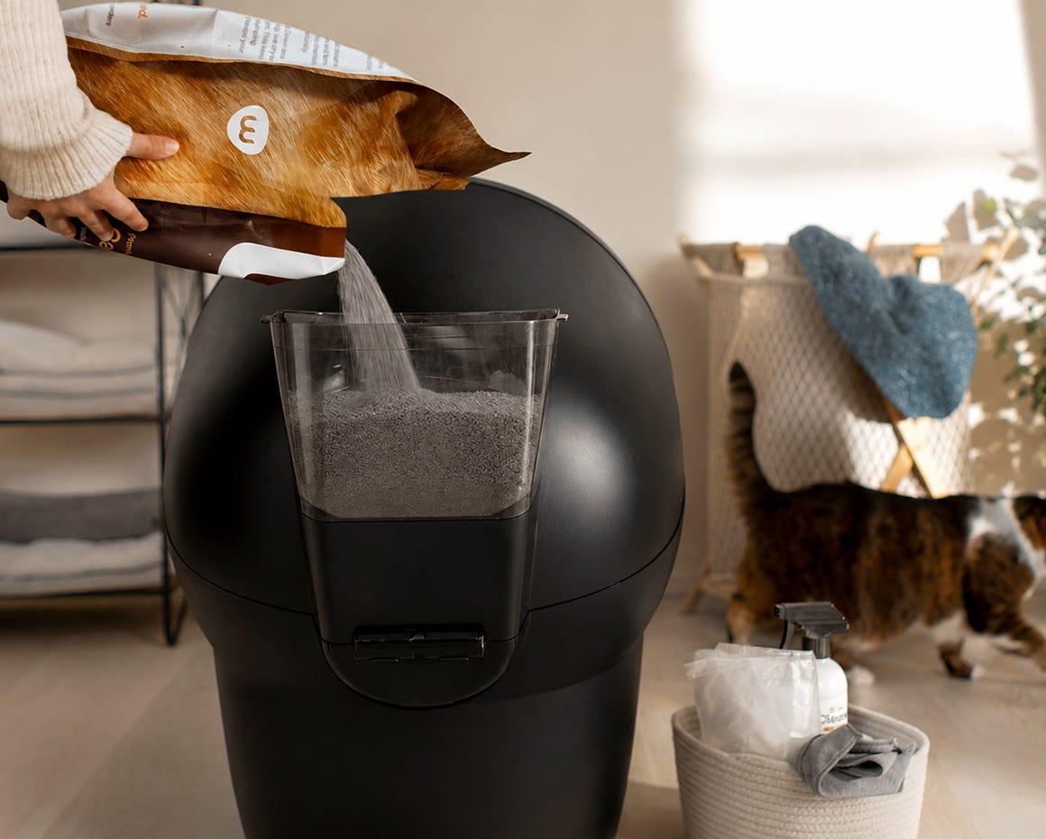 tabby cat using Litter-Robot 4 with woman laughing in foreground