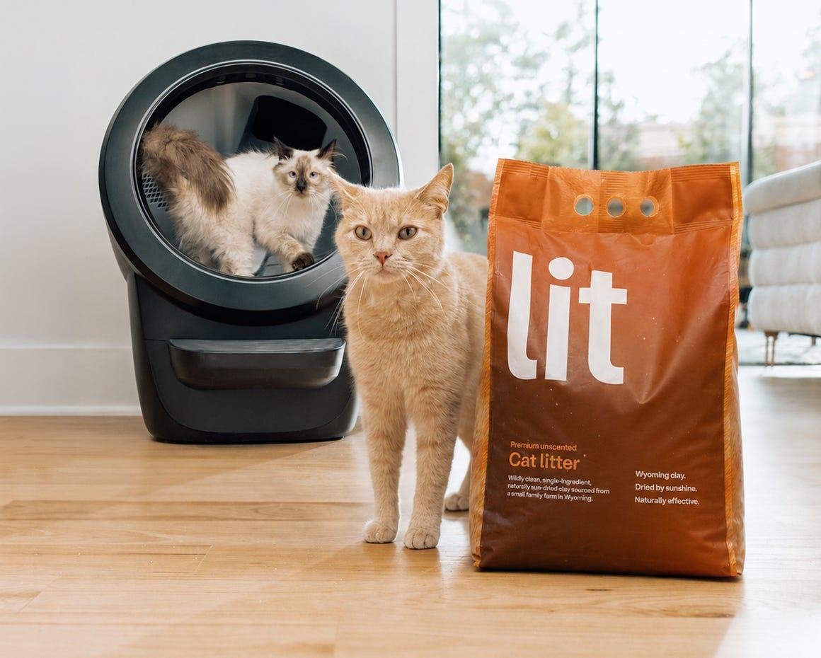 Orange cat walking near a bag of premium cat litter