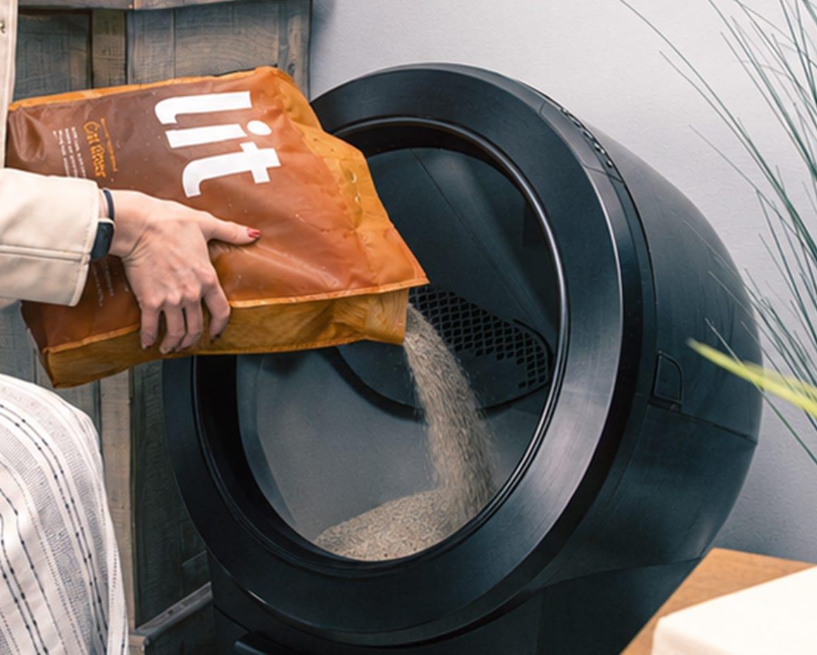 tabby cat inside Litter-Robot 4 with Shield