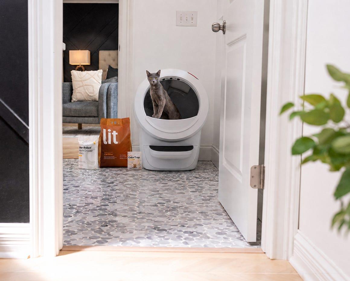 tabby cat inside Litter-Robot 4 with Shield