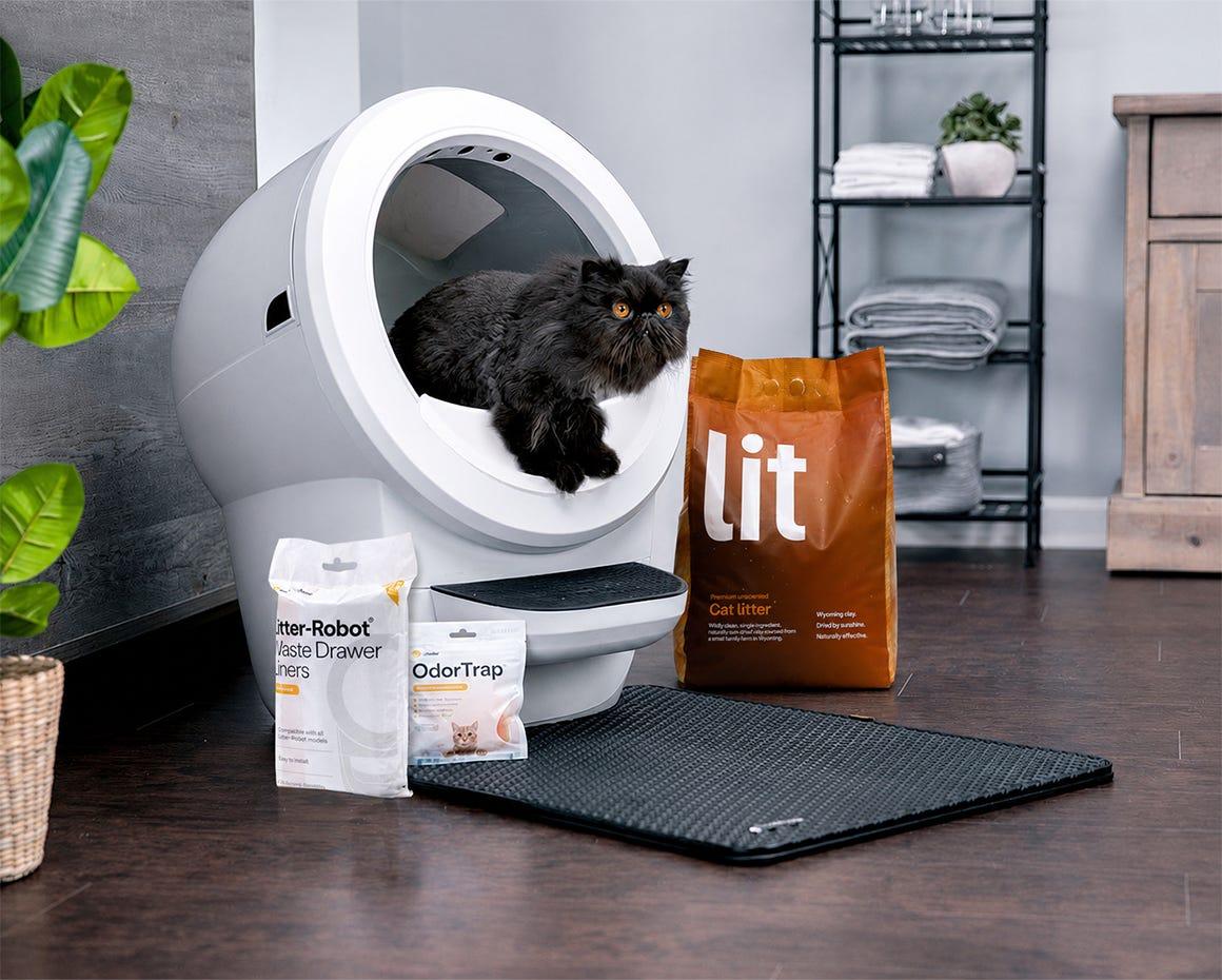 Persian cat using Litter-Robot 4 with litter box accessories