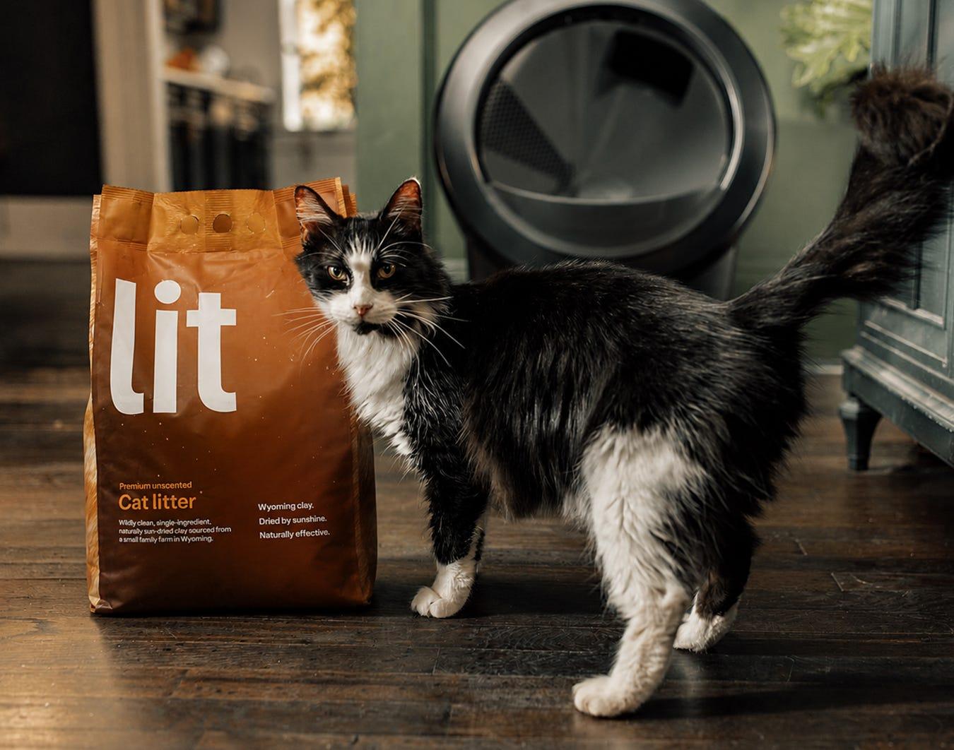 Black and white cat standing next to a bag of Lit premium cat litter