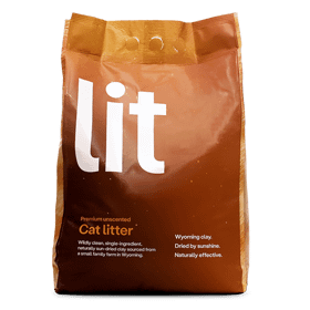 bag of lit