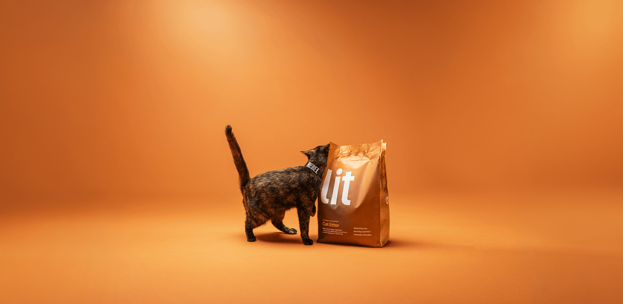 tortie cat rubbing against bag of cat litter Lit