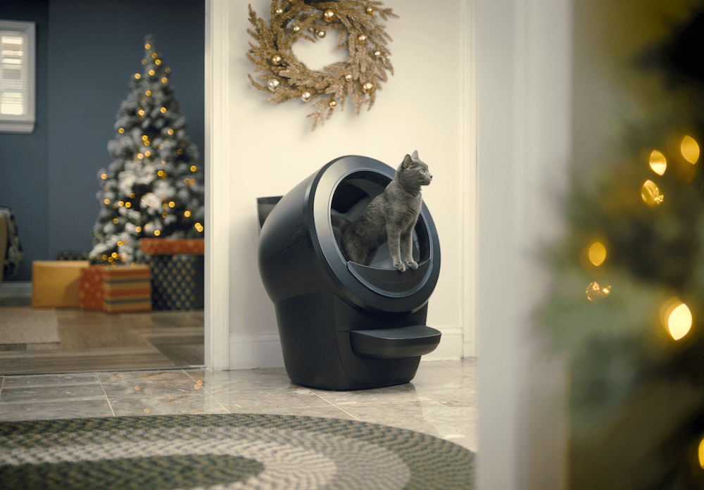 grey cat using Litter-Robot 4 while alone for the holidays