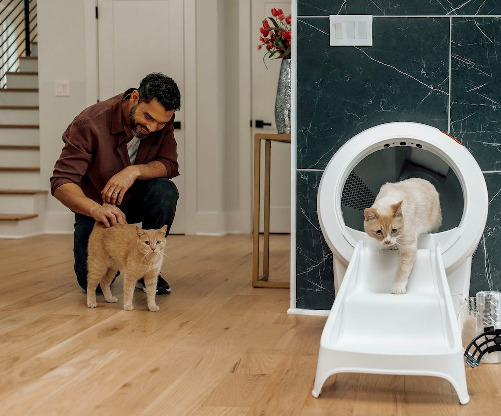 cat using Litter-Robot 4 while man pets another cat