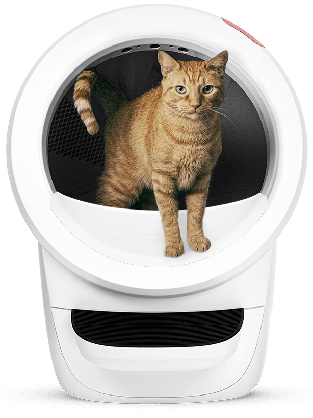 Cat inside a white Litter-Robot 4