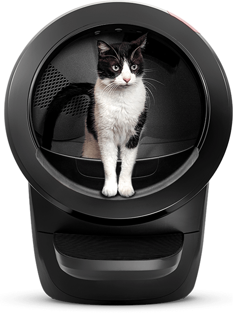 Cat sitting inside a Litter-Robot