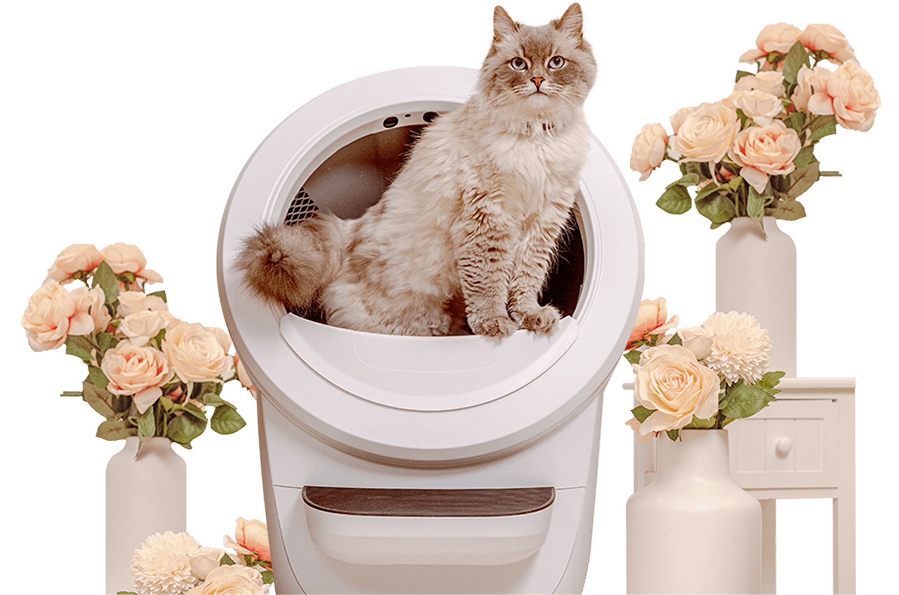 Cat sitting inside a Litter-Robot surrounded by flowers