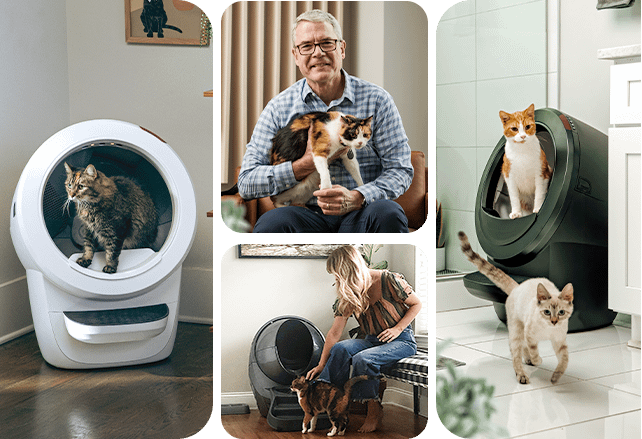 Whisker collage with Brad Baxter, employees and Litter-Robots