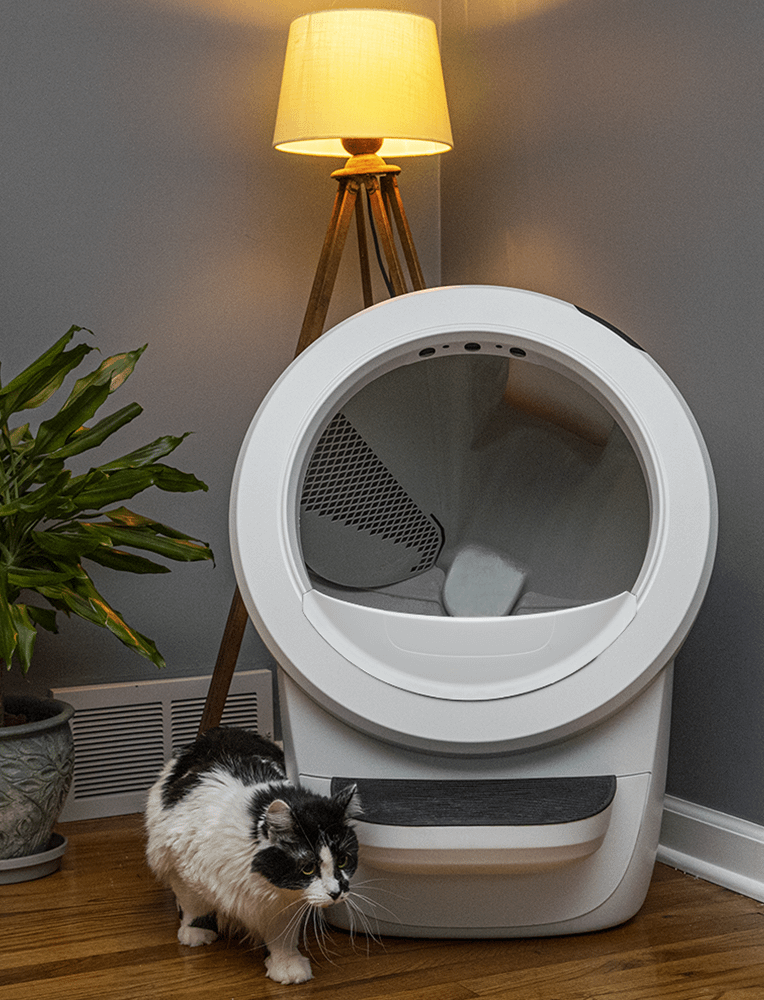 Cat exiting Litter-Robot 4