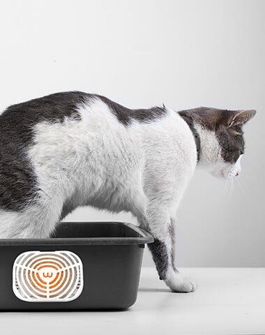 OdorTrap on litter box simulation