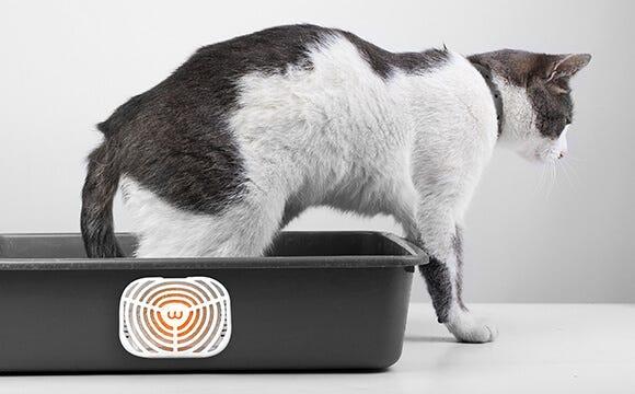 OdorTrap on litter box simulation