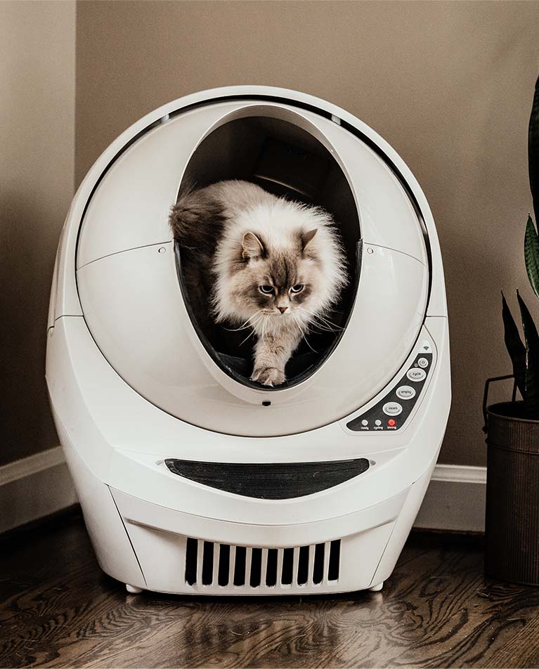 Litter robot faq hotsell