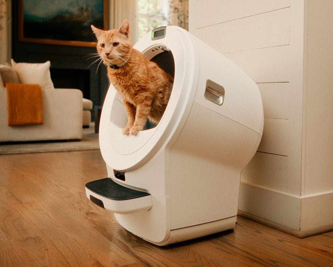 Woman on couch reviewing Whisker app while cat is in Litter-Robot 5