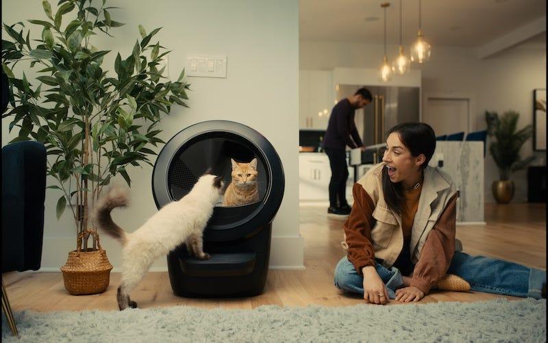 Family playing with ginger cat with Litter-Robot in the background