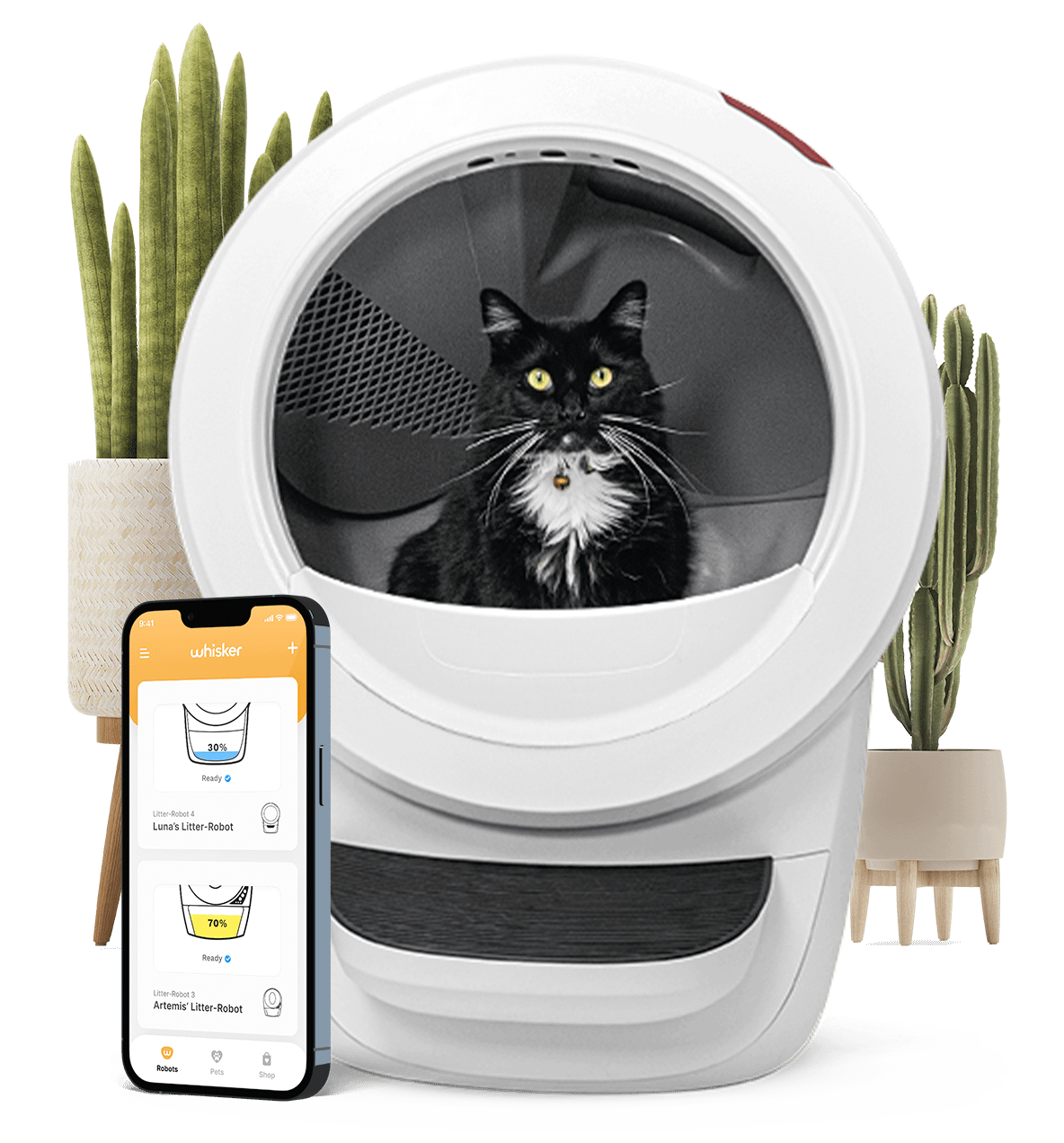 Motorized authorized litter box