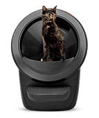 Black cat in Litter-Robot 4 automatic litter box in black