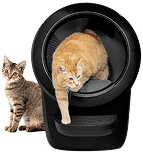 Orange cat in Litter-Robot 4 automatic litter box in black with tabby cat next to it