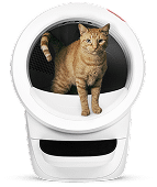 Litter-Robot 4 self cleaning litter box in white with orange cat inside