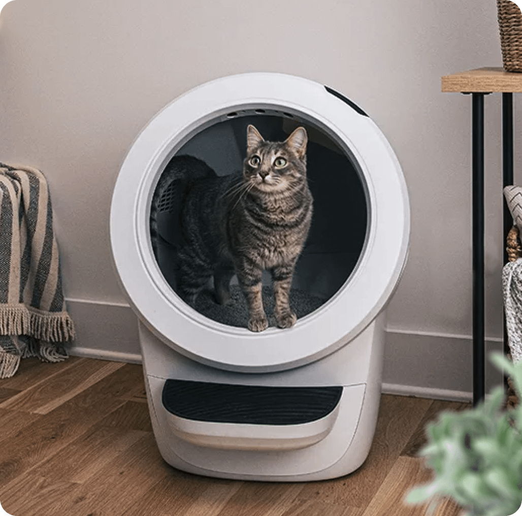 Jackson galaxy litter robot best sale