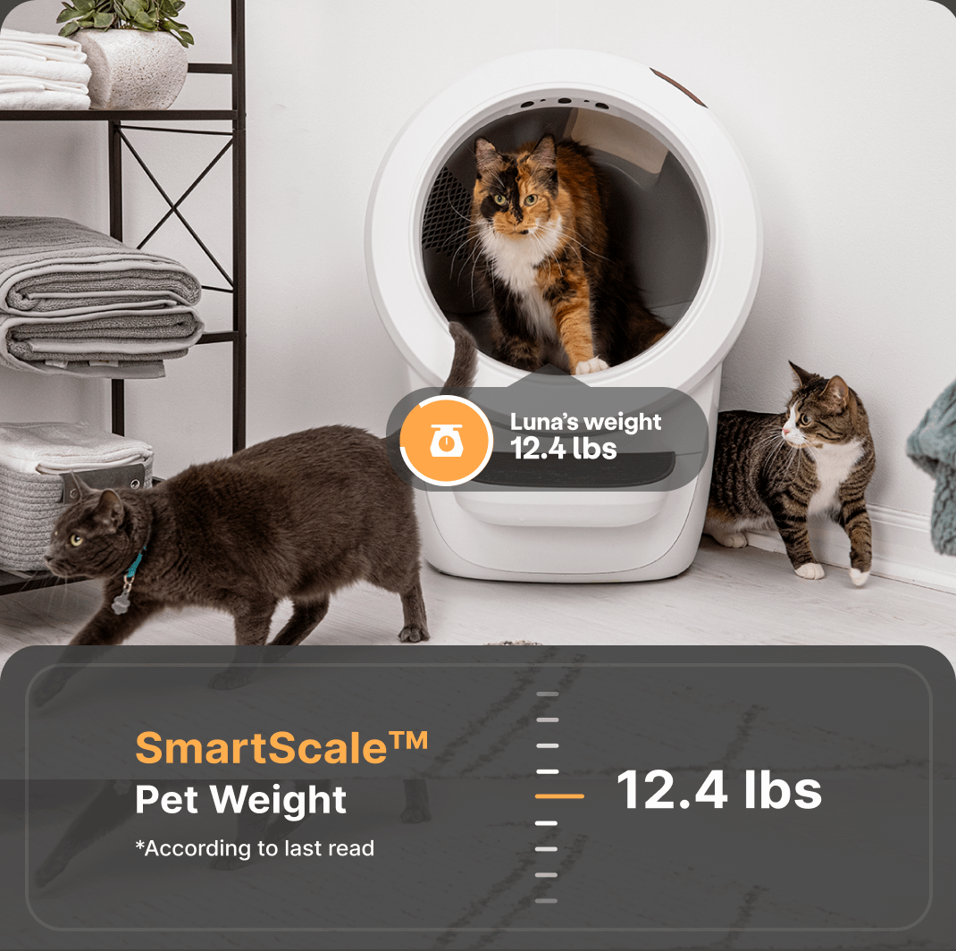 Fashion litter robot weight